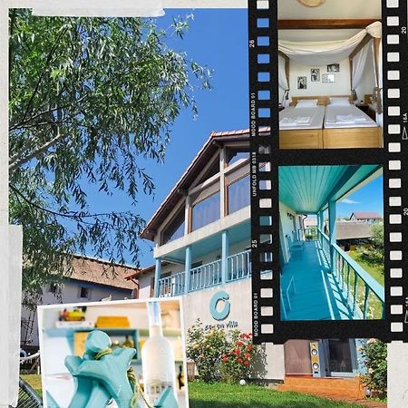 Zen Eco Villa スフントゥ・ゲオルゲ エクステリア 写真