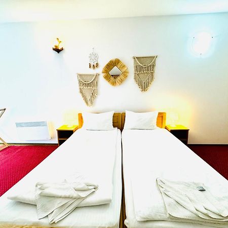 Zen Eco Villa スフントゥ・ゲオルゲ エクステリア 写真