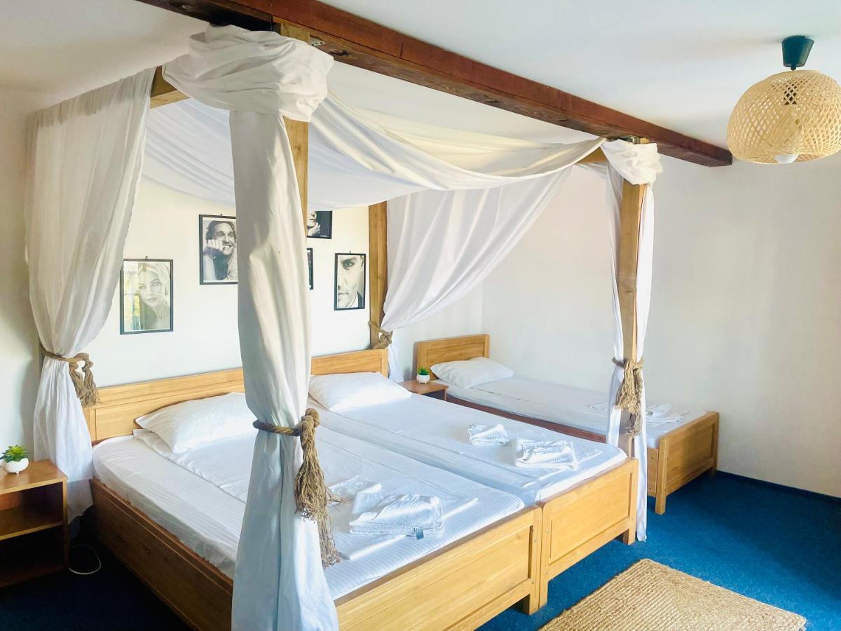 Zen Eco Villa スフントゥ・ゲオルゲ エクステリア 写真