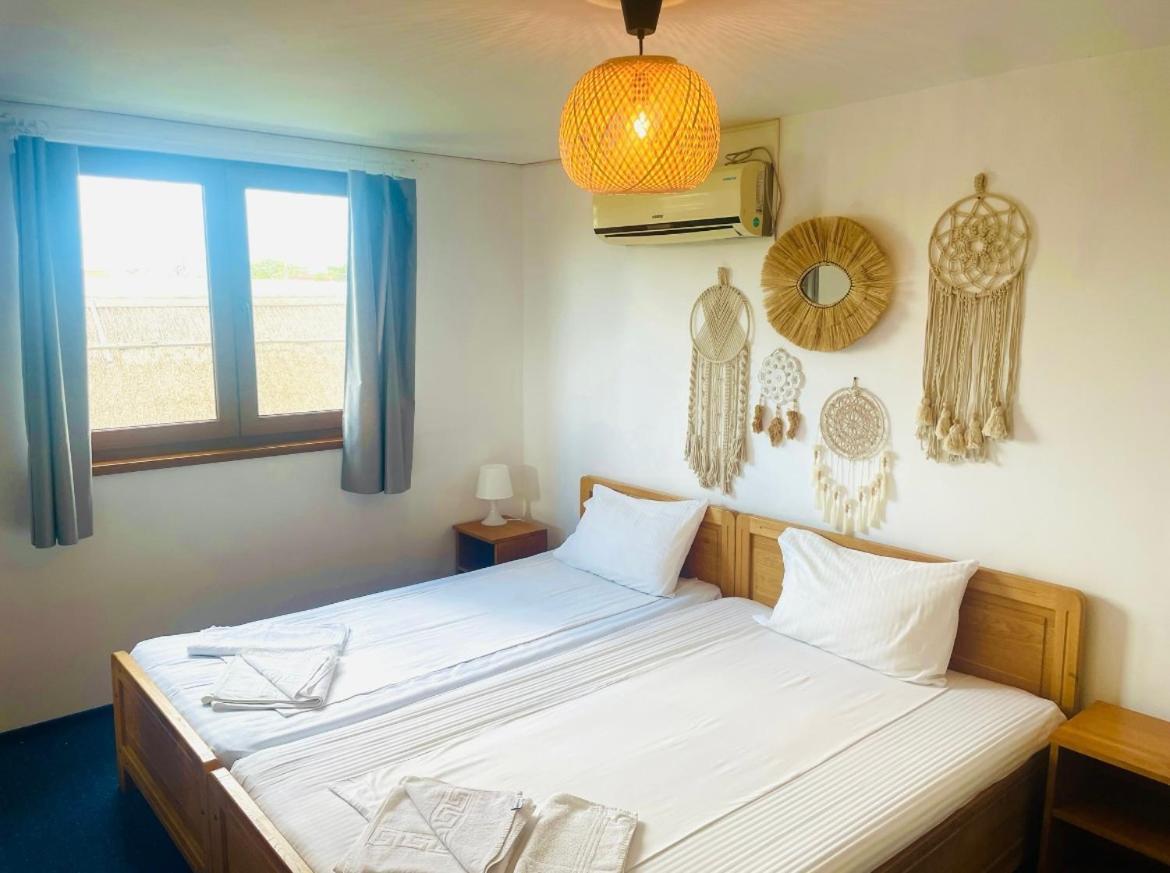 Zen Eco Villa スフントゥ・ゲオルゲ エクステリア 写真