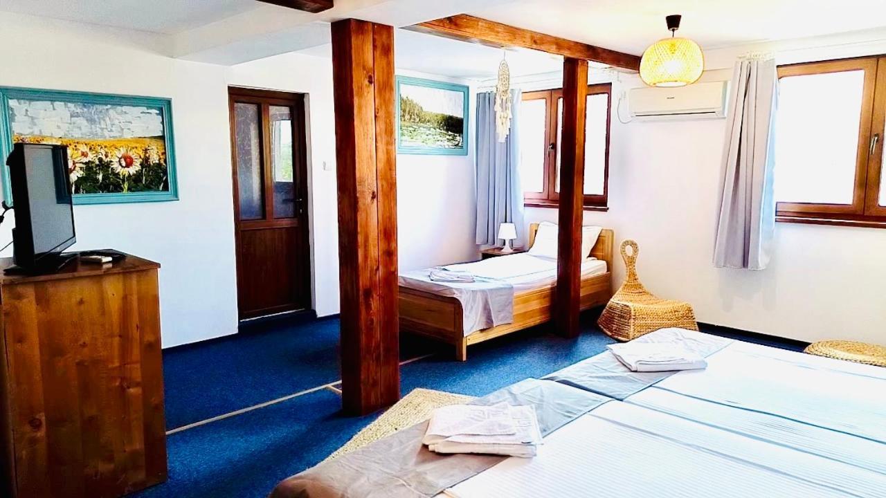 Zen Eco Villa スフントゥ・ゲオルゲ エクステリア 写真