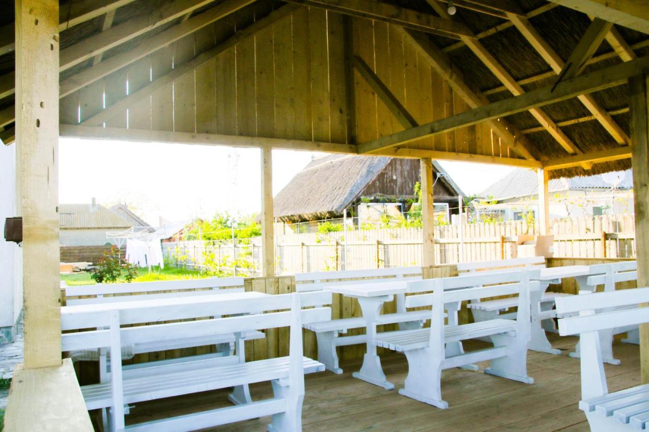 Zen Eco Villa スフントゥ・ゲオルゲ エクステリア 写真