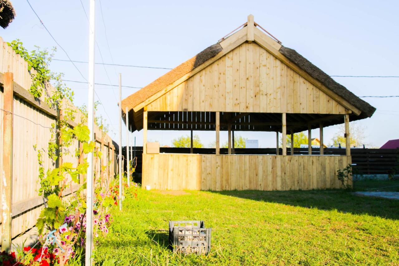 Zen Eco Villa スフントゥ・ゲオルゲ エクステリア 写真